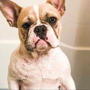 Meet your Posher, Leona